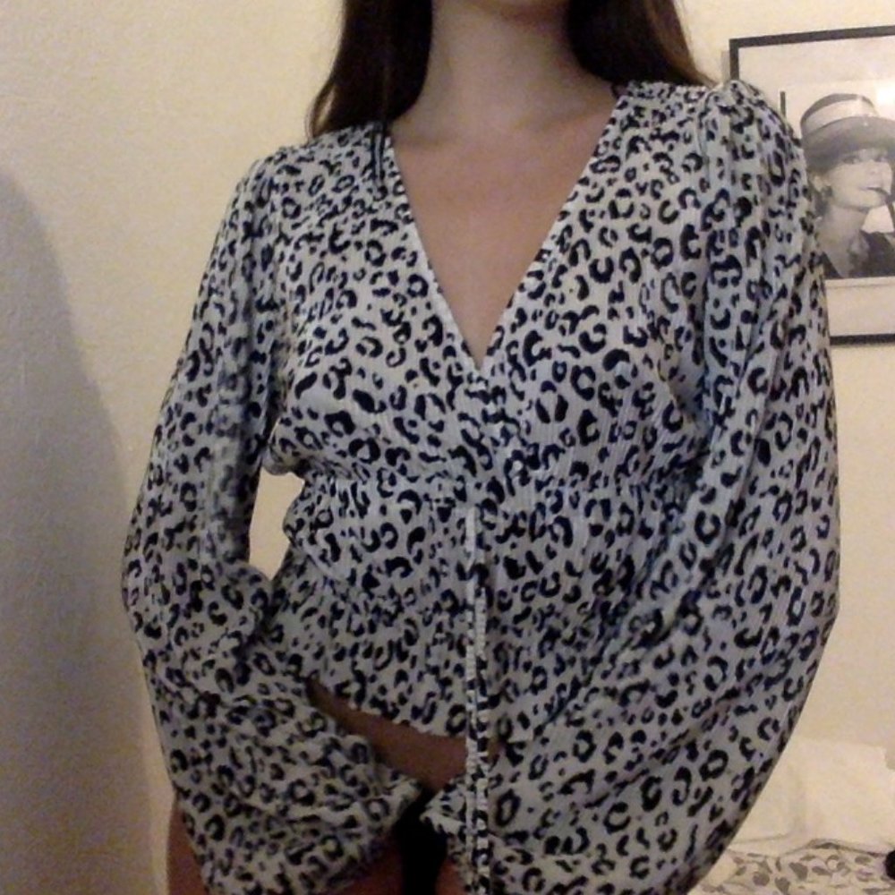 Zara Leopard Top
